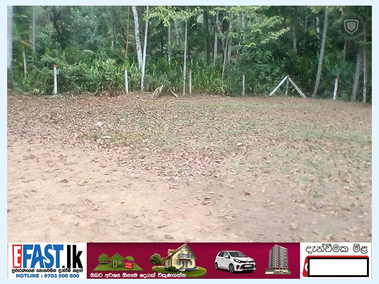 LAND | FOR SALE | GAMPAHA